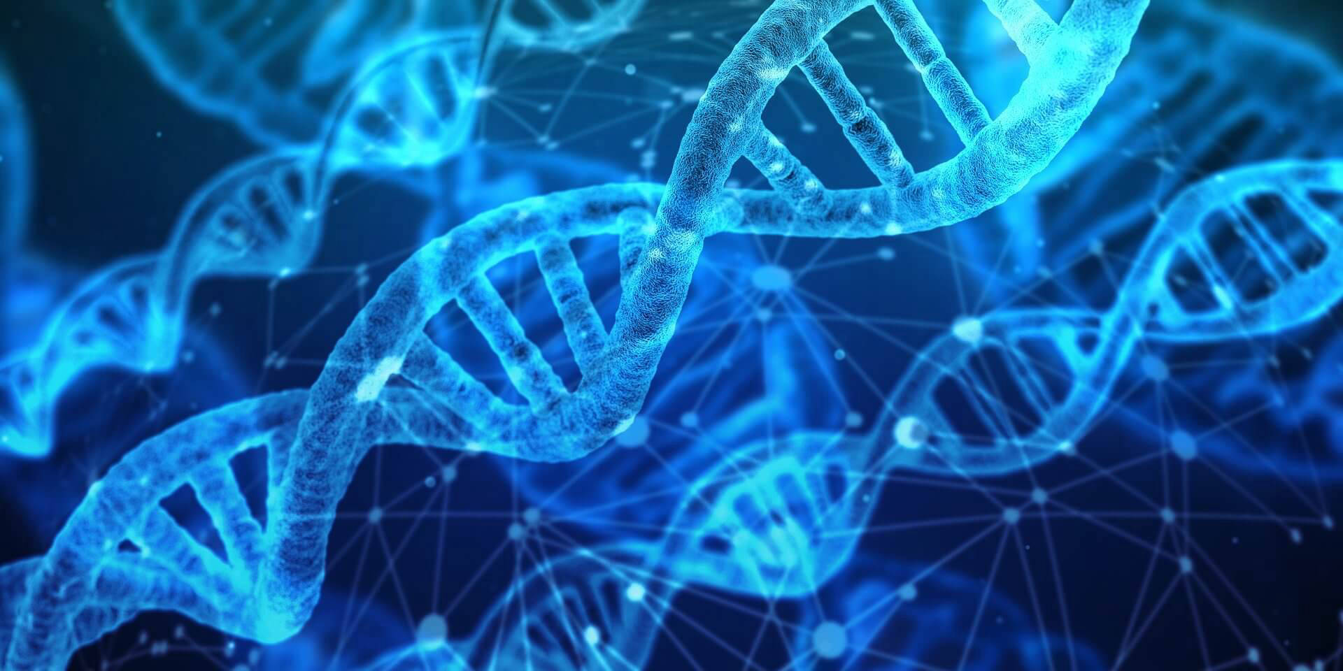 DNA-Analysen