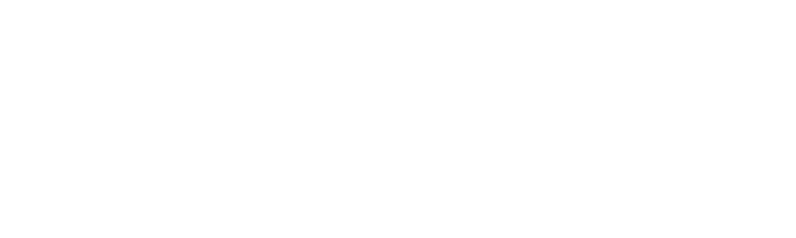 PRM – Professional Risk Management